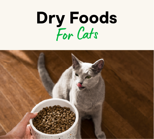 Dry Cat Food