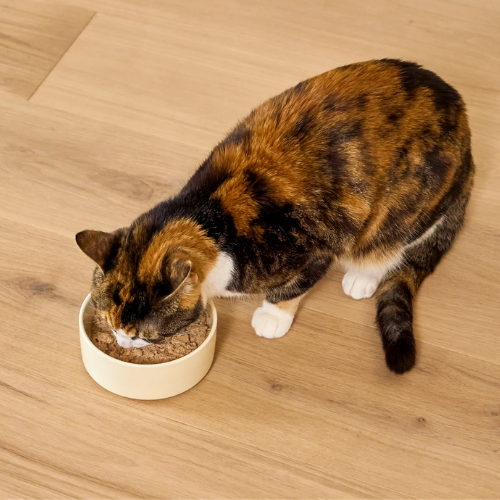 Open Farm Wild-Caught Whitefish Healthy Weight Wet Cat Food