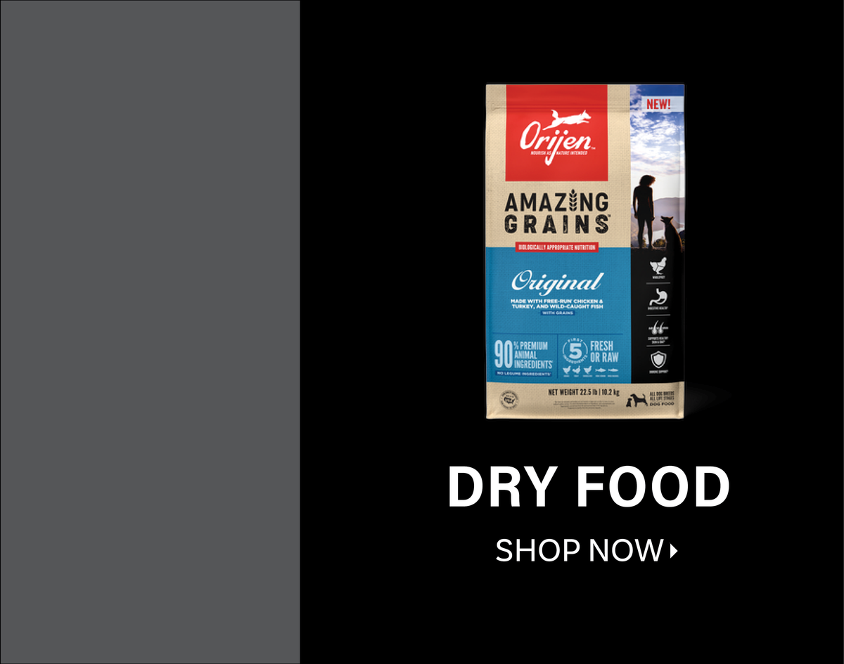 Dry Dog Food