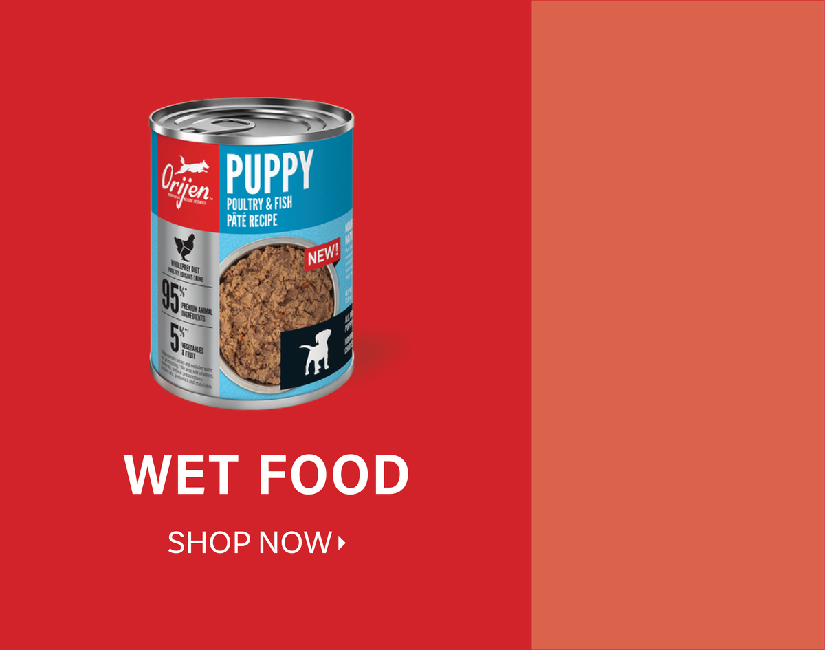 Dog Food Wet Food