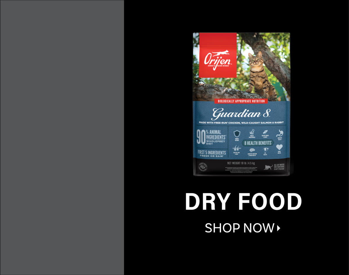 Cat Food Dry Food