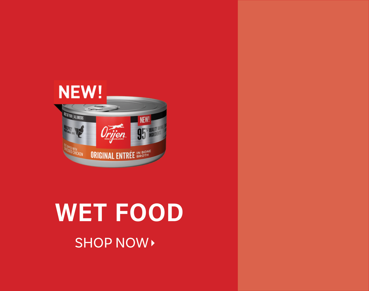 Cat Food Wet Food