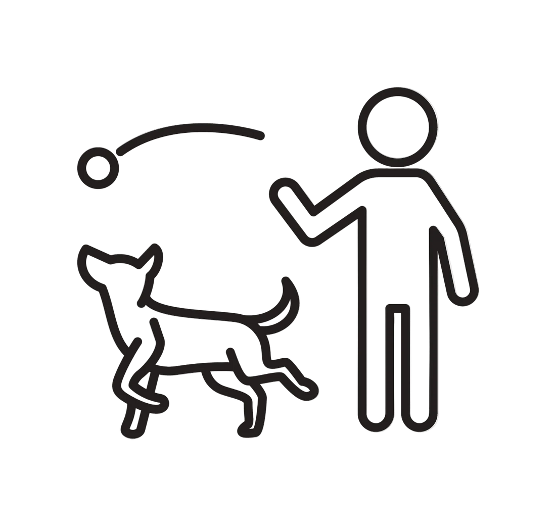 Line drawing of a person and dog with a ball, indicating a game of fetch.