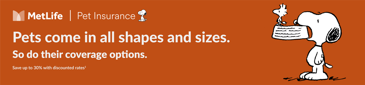Feeders Pet Supply