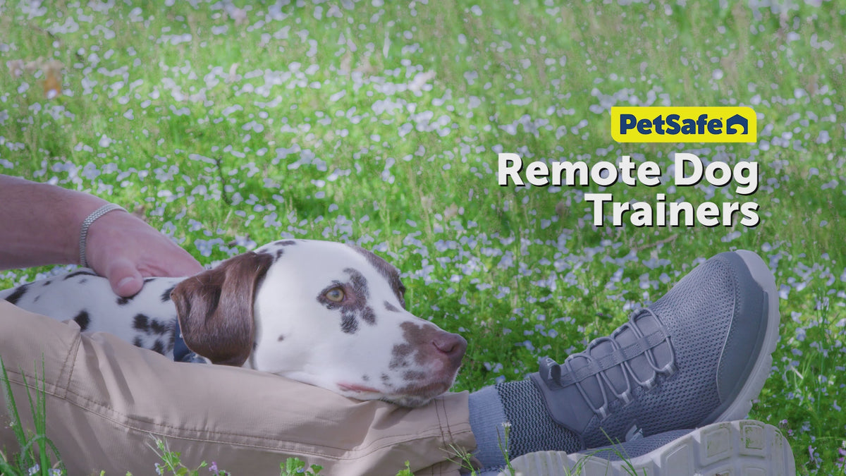 Load video: Petsafe Collarless Trainer Ultrasonic Training Tool