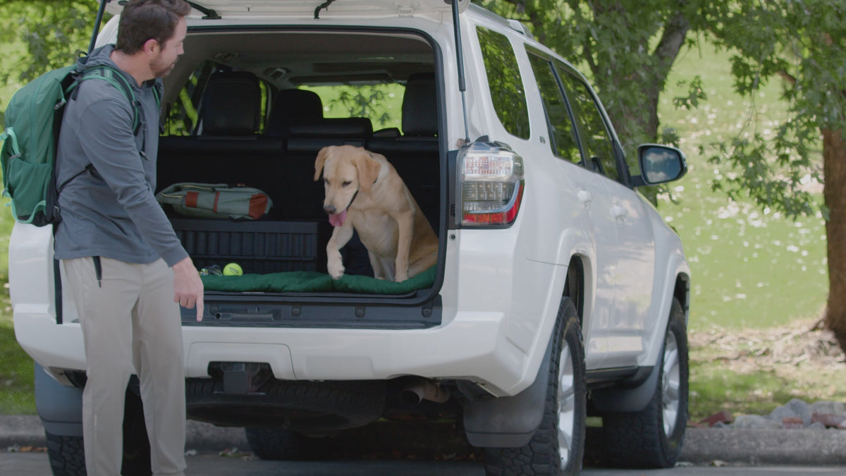 Load video: Petsafe GPS Dog Tracker Collar
