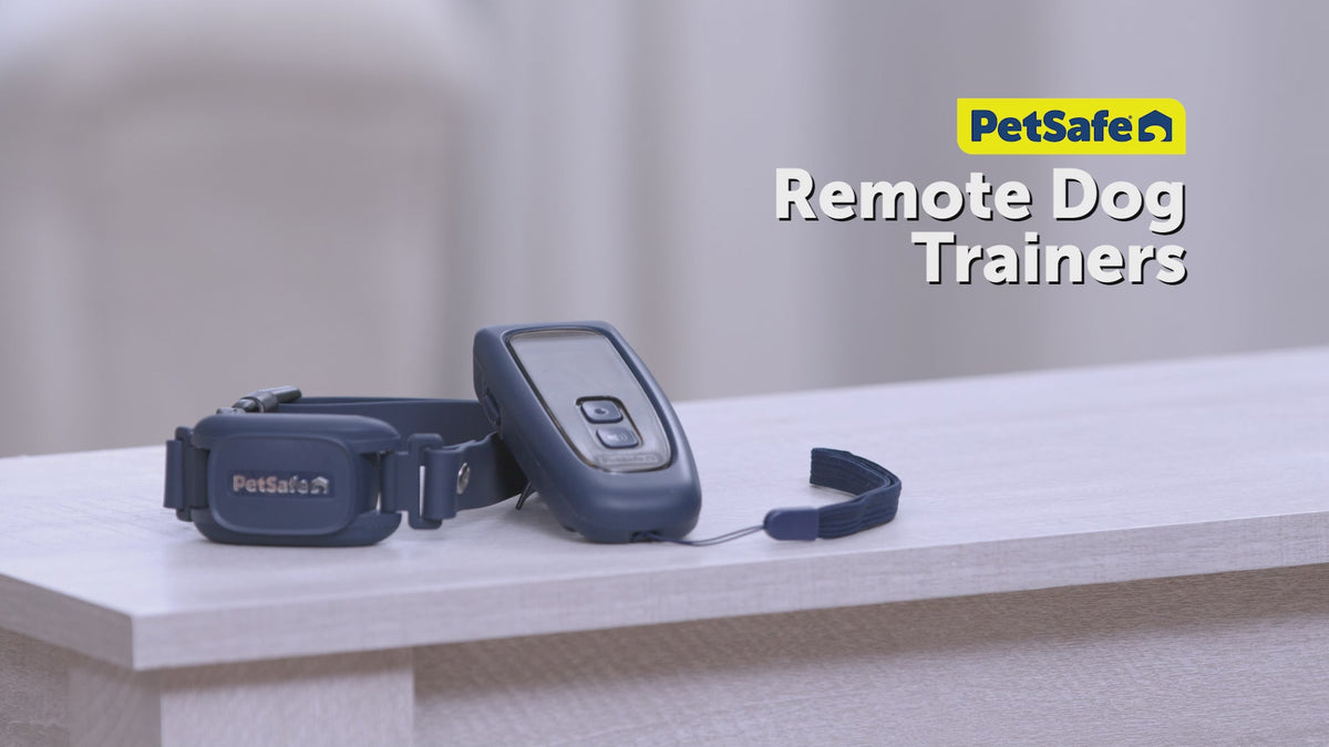 Load video: Petsafe Collarless Trainer Ultrasonic Training Tool