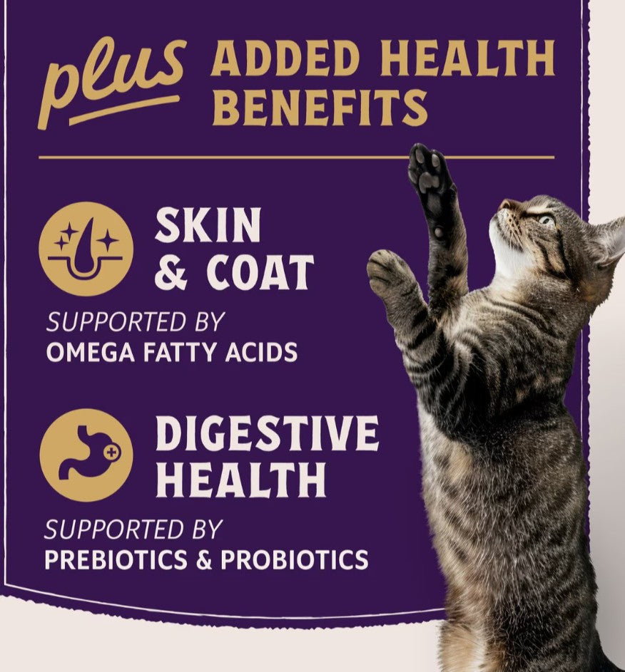 Natural Balance Ultra Protein Plus Skin & Coat and Digestive Health Dry Cat Food 5 lb