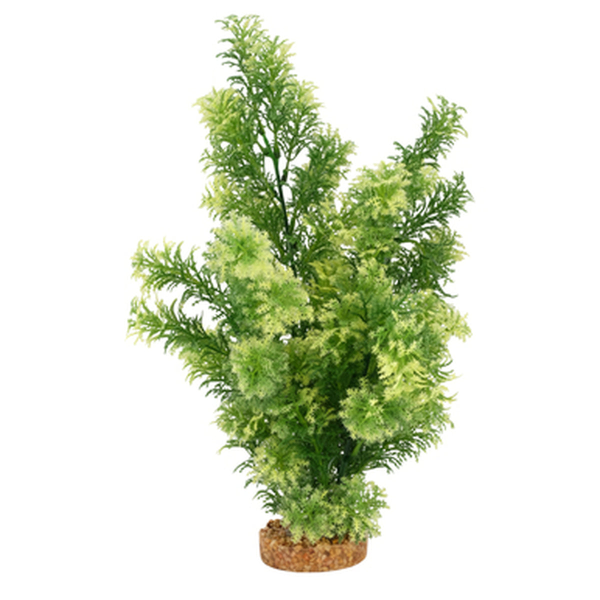 Fluval White-Tipped Hottonia Aquarium Plant