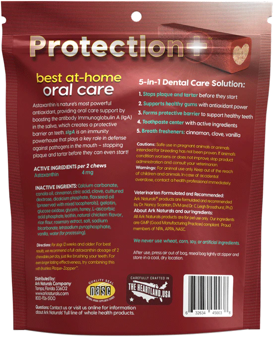 Ark Naturals Brushless Toothpaste Protection+ Large Dental Dog Treats