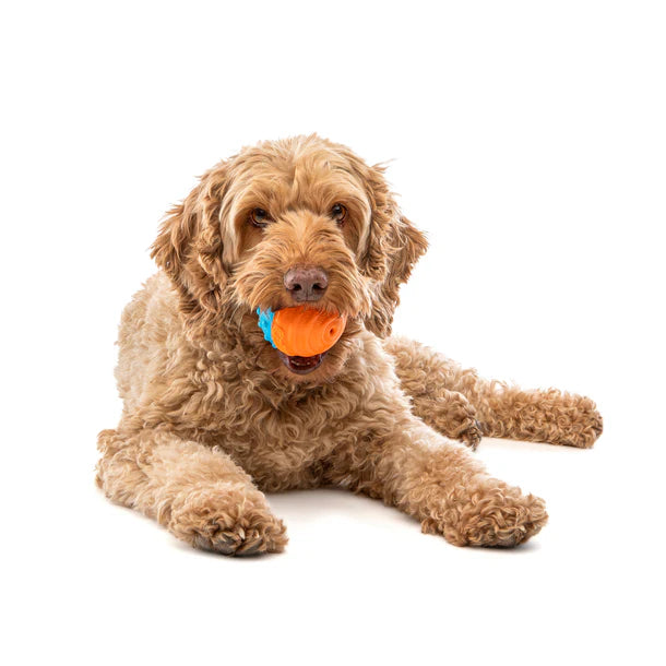 Guru Crunch & Squeak Ball Dog Toy 2 pk