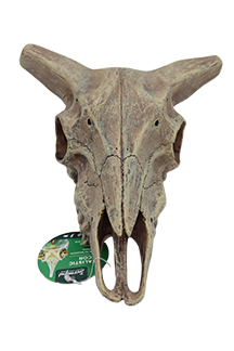 Incredipet Deer Skull Reptile Terrarium Ornament