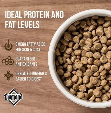 Diamond Maintenance Formula Adult Dry Cat Food 20 lb