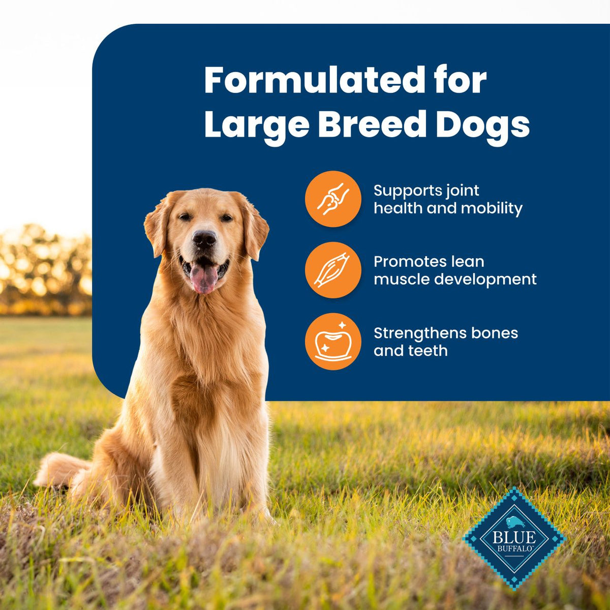 Blue Buffalo Life Protection Formula Large Breed Chicken & Brown Rice Recipe Adult Dry Dog Food 30 lb