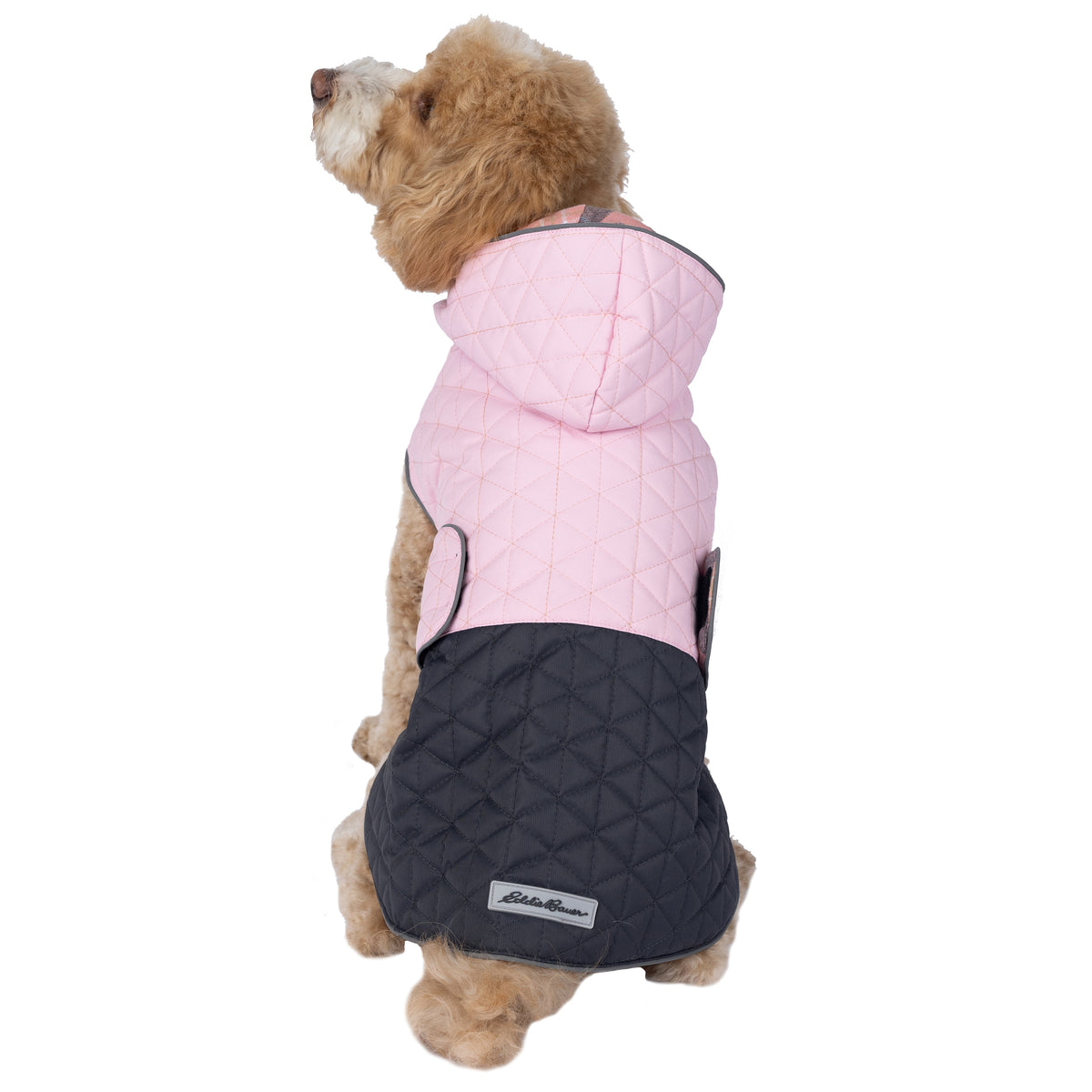 Petrageous Eddie Bauer Richland Dog Jacket