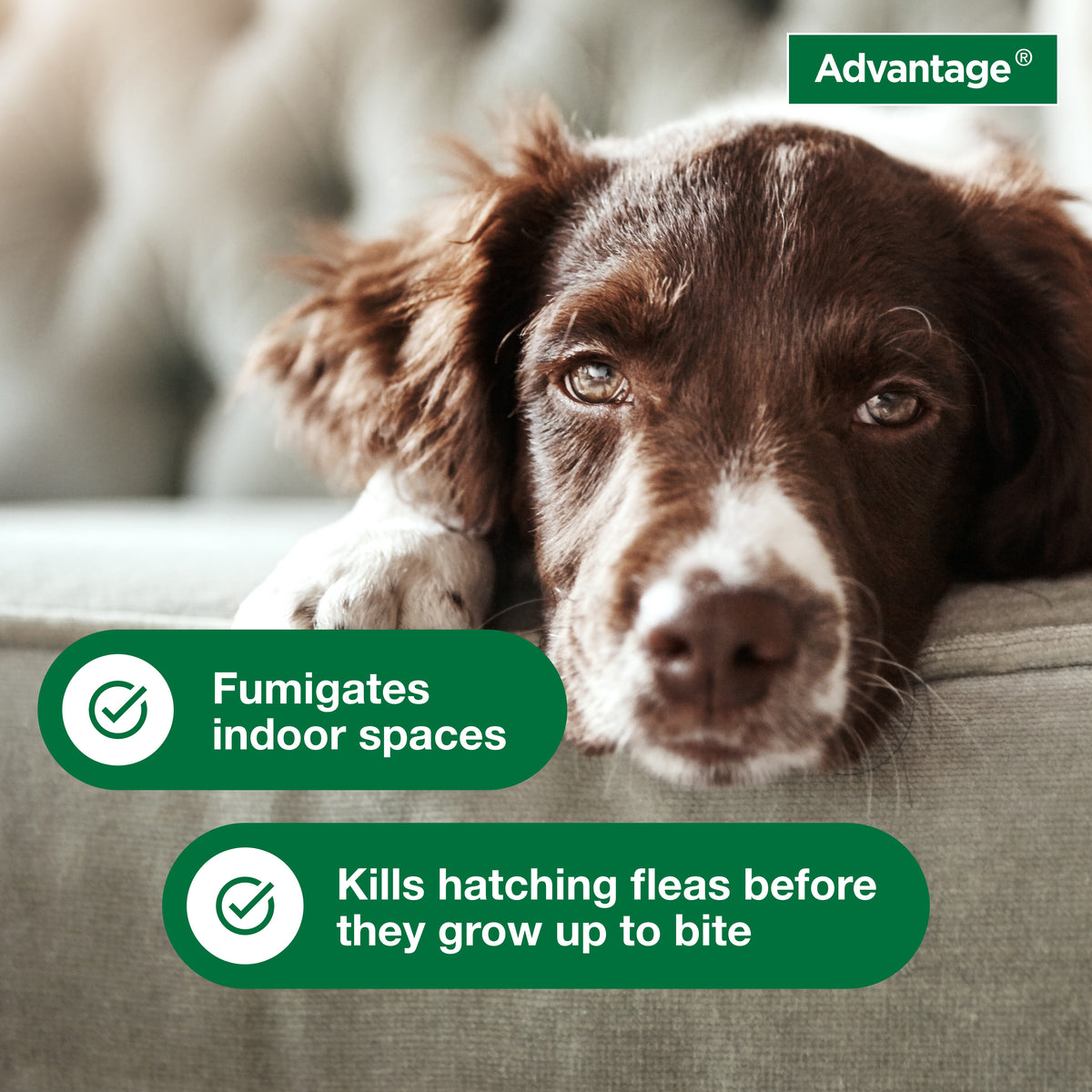 Advantage Flea And Tick Household Fogger 3 pk