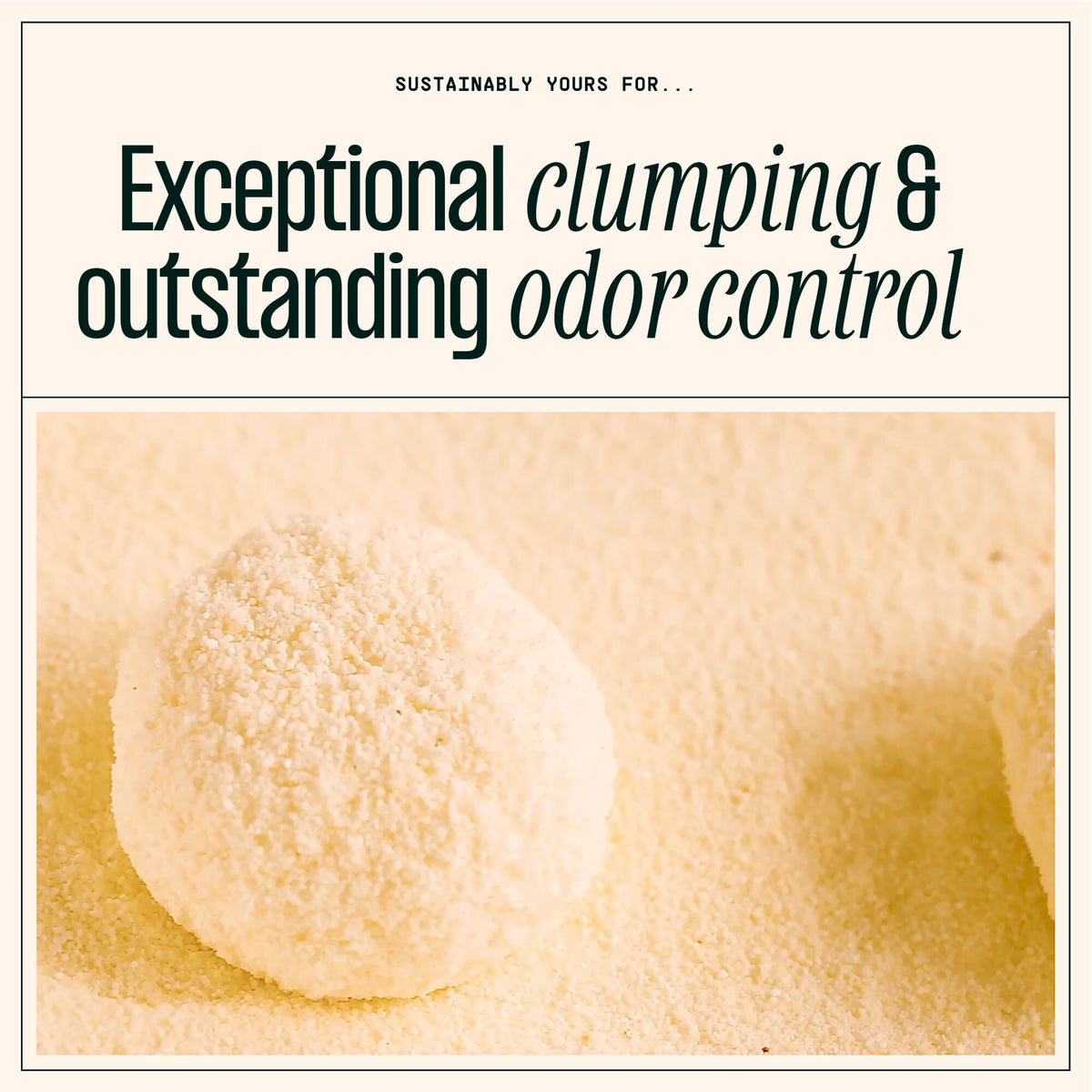 Sustainably Yours Cat Litter Small-Grain Formula