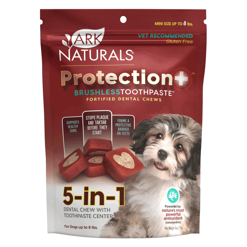 Ark Naturals Brushless Toothpaste Protection+ Mini Dental Dog Treats 4 oz