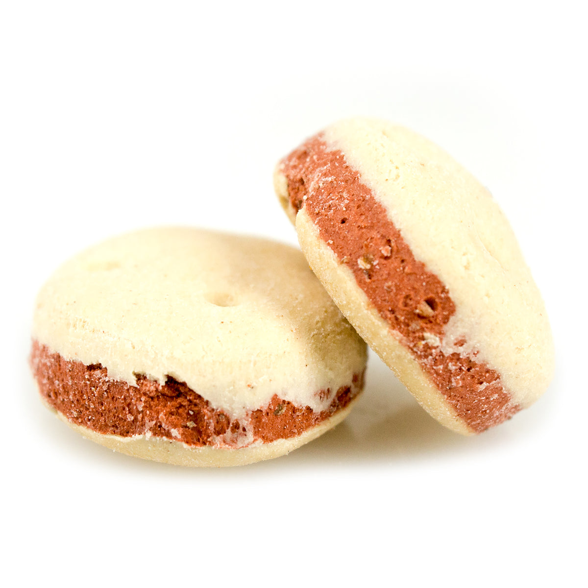 Sunseed Animalovens Cranberry Orange Cookies For Small Animals 3.5 oz
