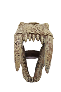 Incredipet Large Saber Tooth Skull Reptile Terrarium Ornament