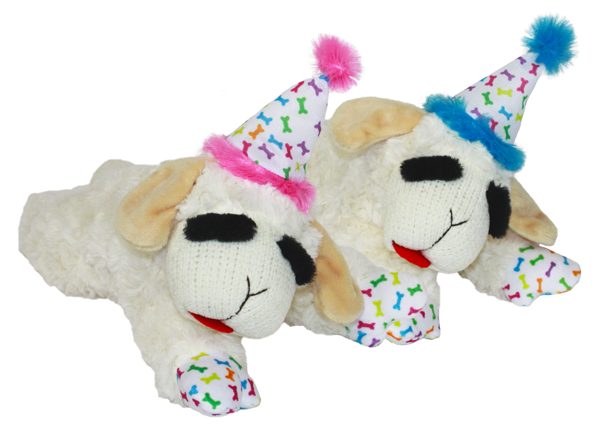 Multipet Lamb Chop with Birthday Hat Plush Dog Toy 10.5 in