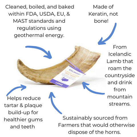 Icelandic+ Plus Small Lamb Horn With Marrow Dog Chew 1.4 oz