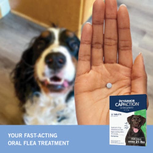Petarmor CapAction Oral Flea Treatment Tablets for Dogs 25+ lbs 6 ct