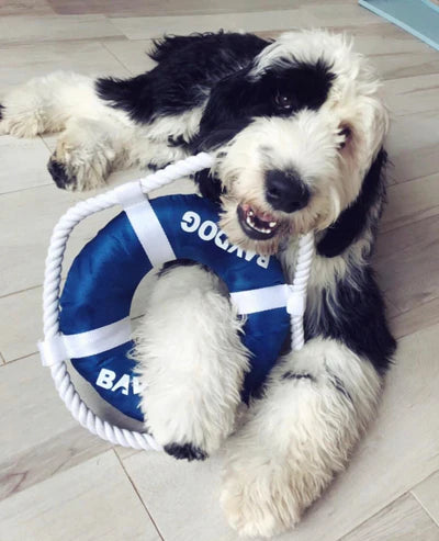 Baydog Fetch Ring Waterproof Dog Toy