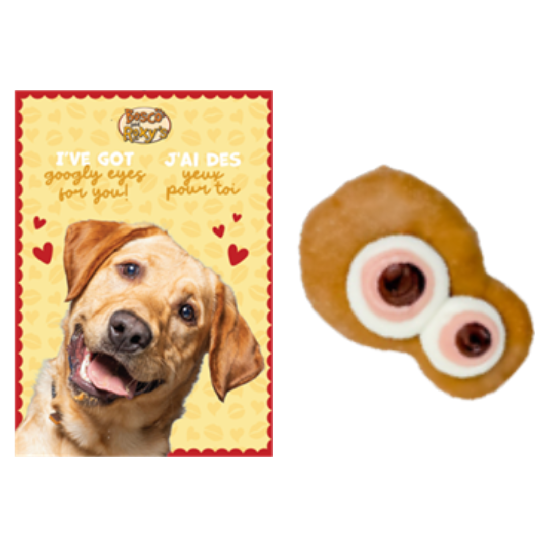 Bosco & Roxy Fur Ever Valentine's Day Card Dog Treat Cookie
