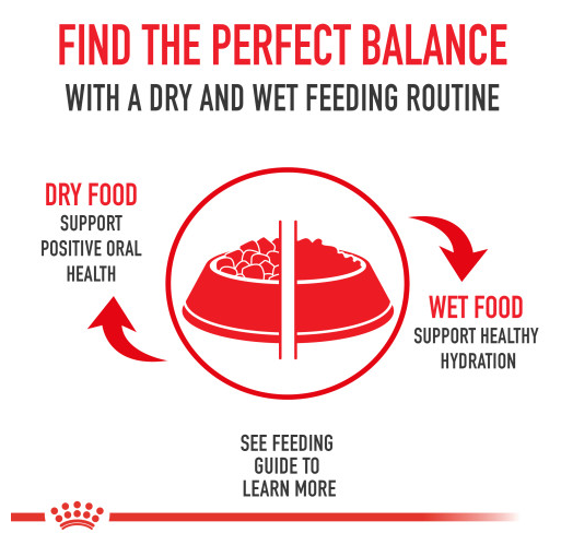 Royal Canin Feline Health Nutrition Kitten Loaf In Sauce Canned Cat Food