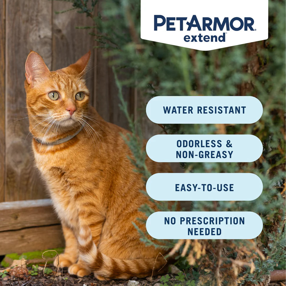 Petarmor Extend Flea and Tick Cat Collar Cat