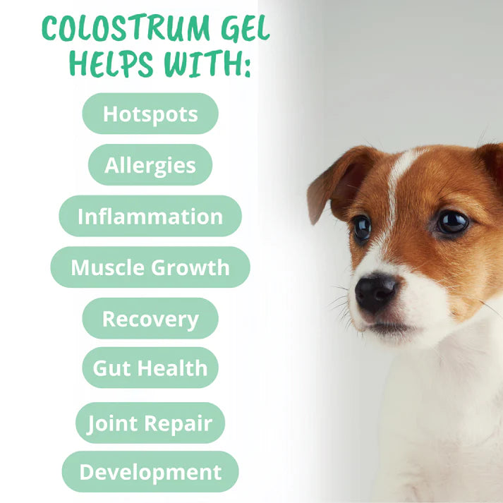 Under The Weather Vital Colostrum Gel for Dogs & Puppies 3.5 oz