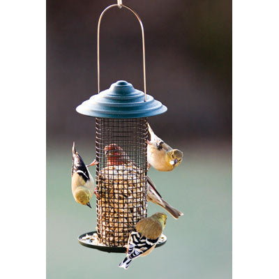 Audubon Mini Magnum Sunflower Wild Bird Feeder .75 lb