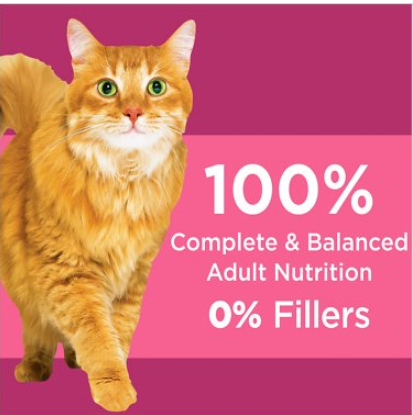 Iams Proactive Health Urinary Tract Health With Chicken Adult Dry Cat Food 7 lb