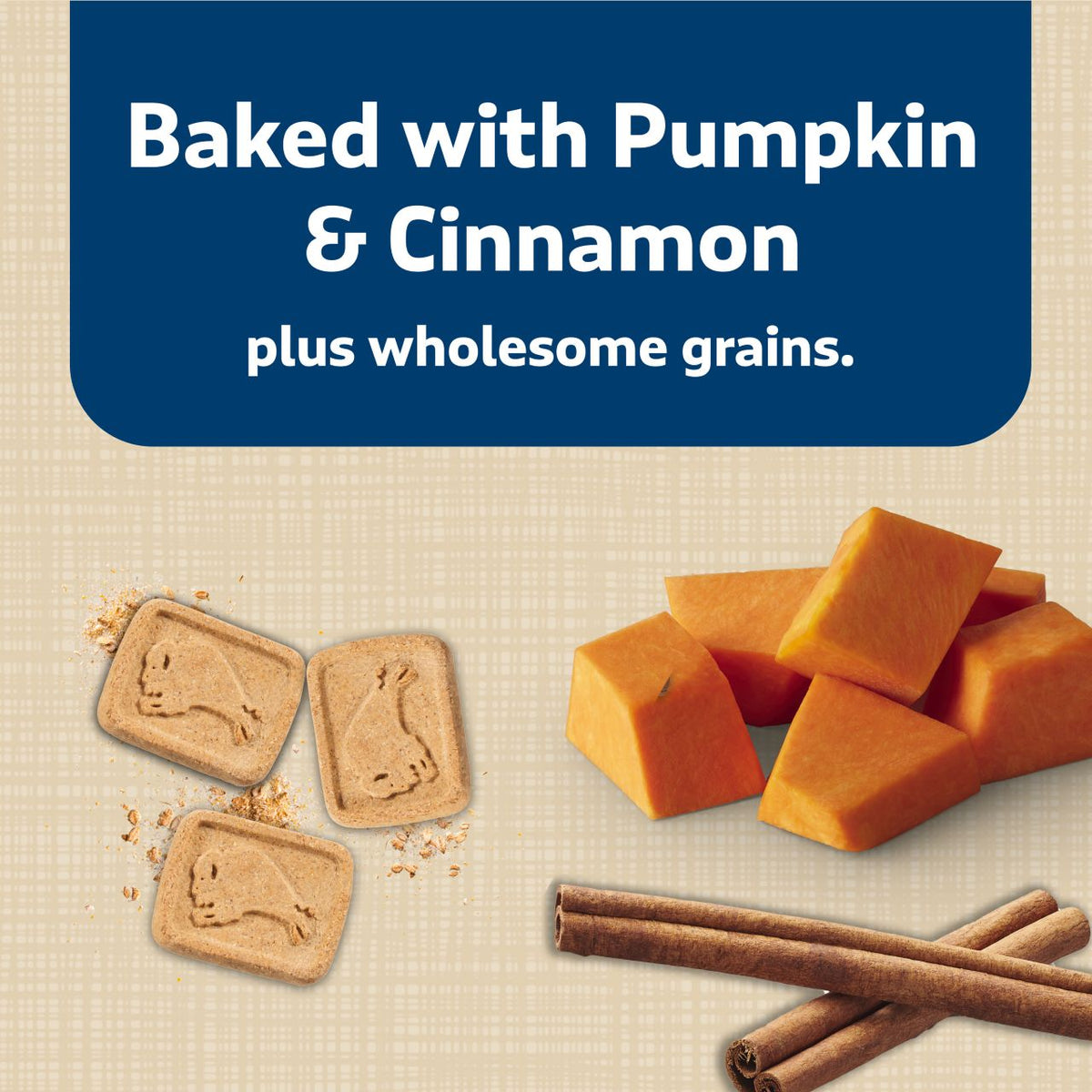 Blue Buffalo Health Bars With Pumpkin & Cinnamon For Dogs 16 oz