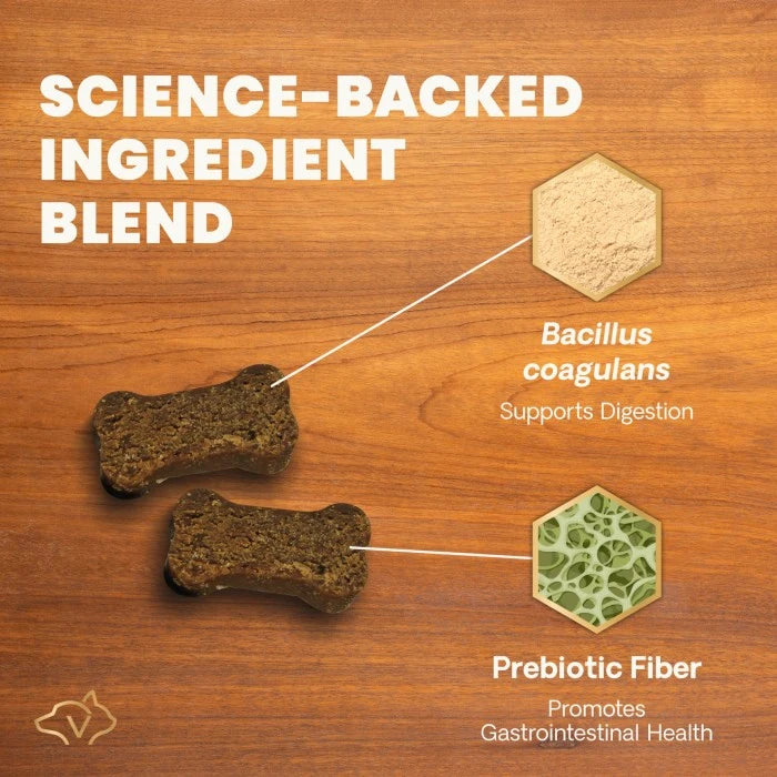 Vetriscience Probiotic Everyday Gut Health Duck Flavored Soft Chews for Dogs 45 ct
