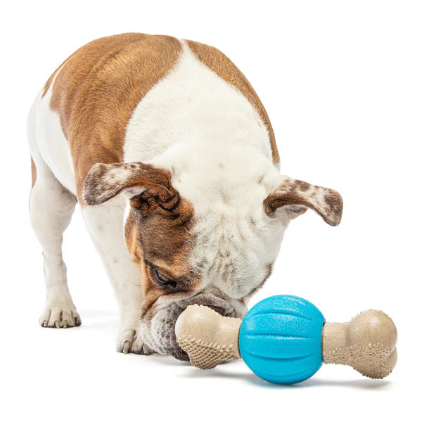 Guru Spin & Chew Bone Treat Dispensing Dog Toy