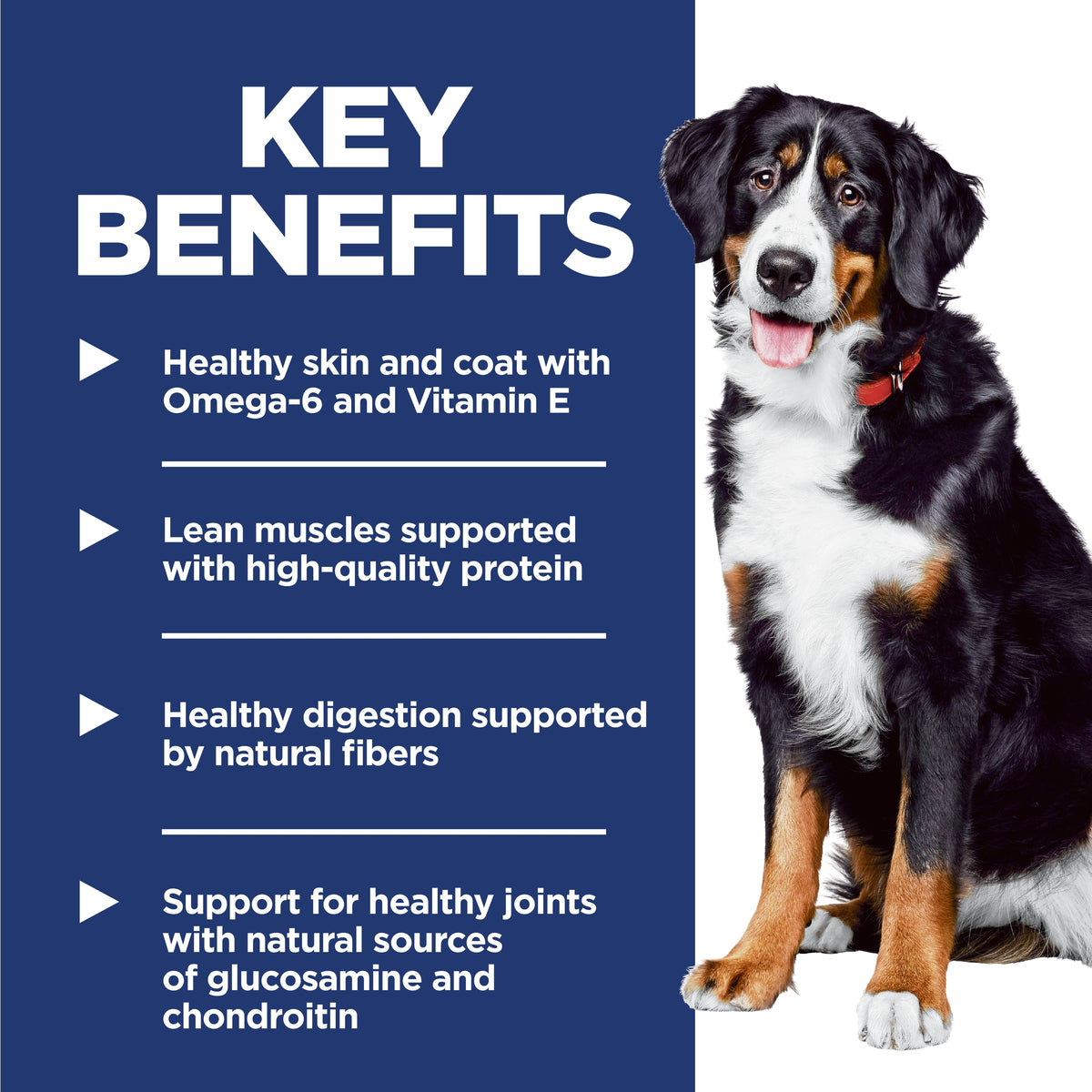 Hill's Science Diet Adult Large Breed 1-5 Chicken & Barley Recipe Dry Dog Food 35 lb