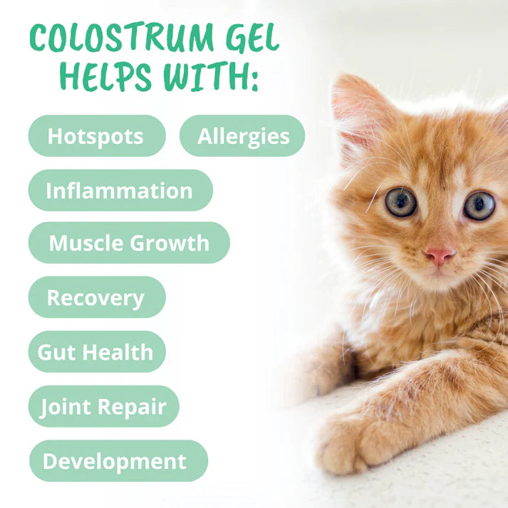 Under The Weather Vital Colostrum Gel for Cats & Kittens 3.5 oz