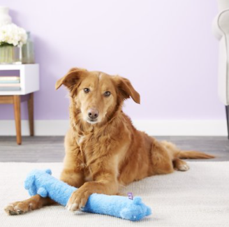 Multipet Loofa Dog Toy, Assorted Colors