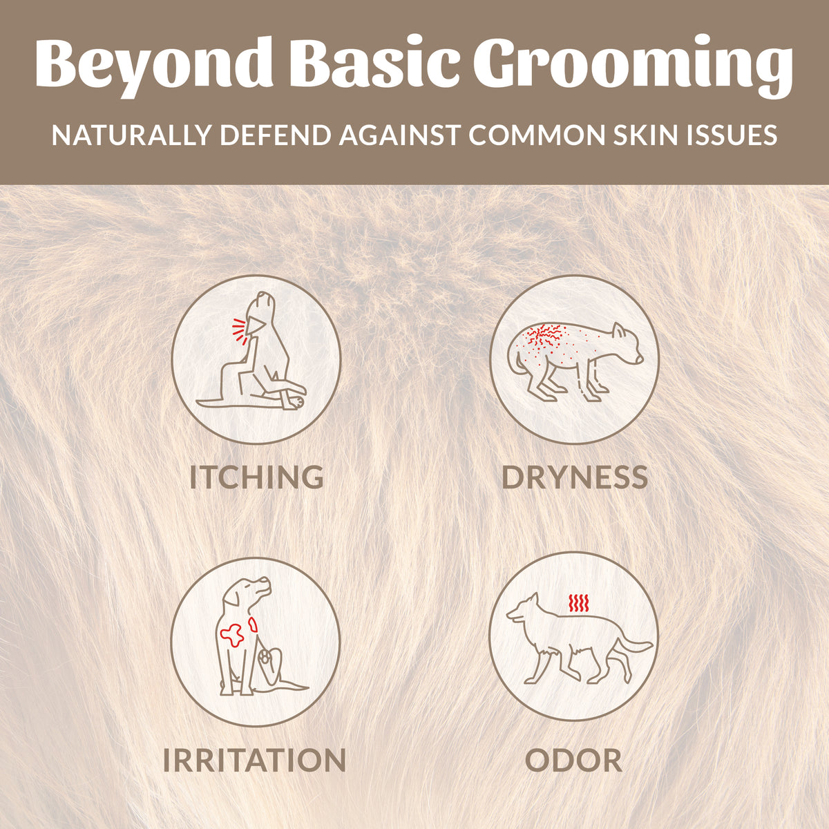 Skout's Honor Probiotic Deodorizing Spray Sandalwood & Vanilla Scent for Dogs 8 oz