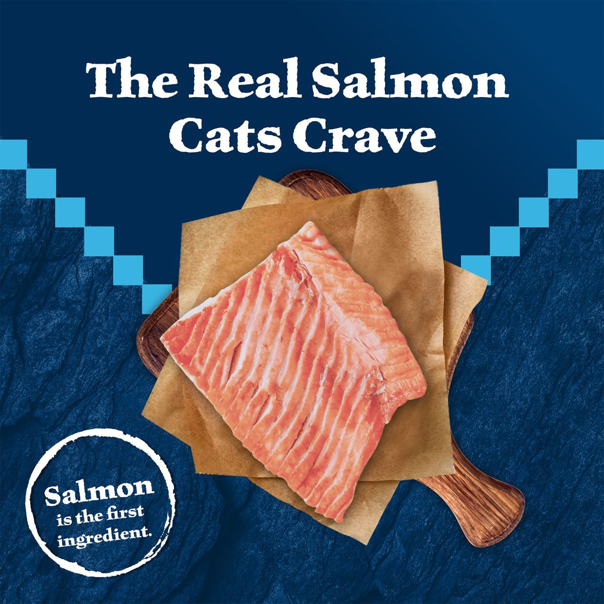 Blue Buffalo Wilderness Adult Salmon Recipe Grain-Free Dry Cat Food