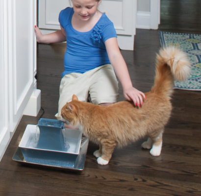 PetSafe Drinkwell Porcelain Stoneware Pagoda Pet Fountain .5 gal