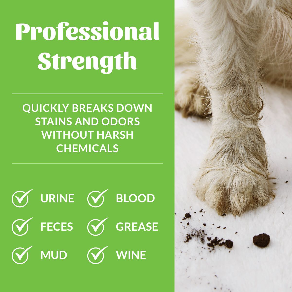 Skout's Honor Professional Strength Dog Stain & Odor Remover Spray 35 oz