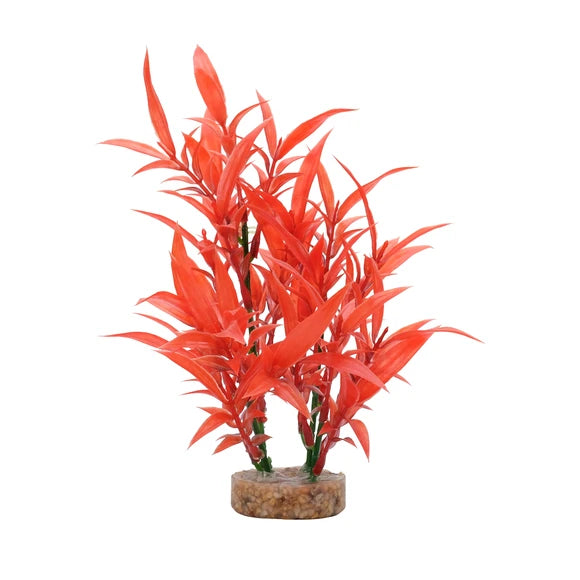 Fluval Intense Red Hygrophilia Aquarium Plant 8 in