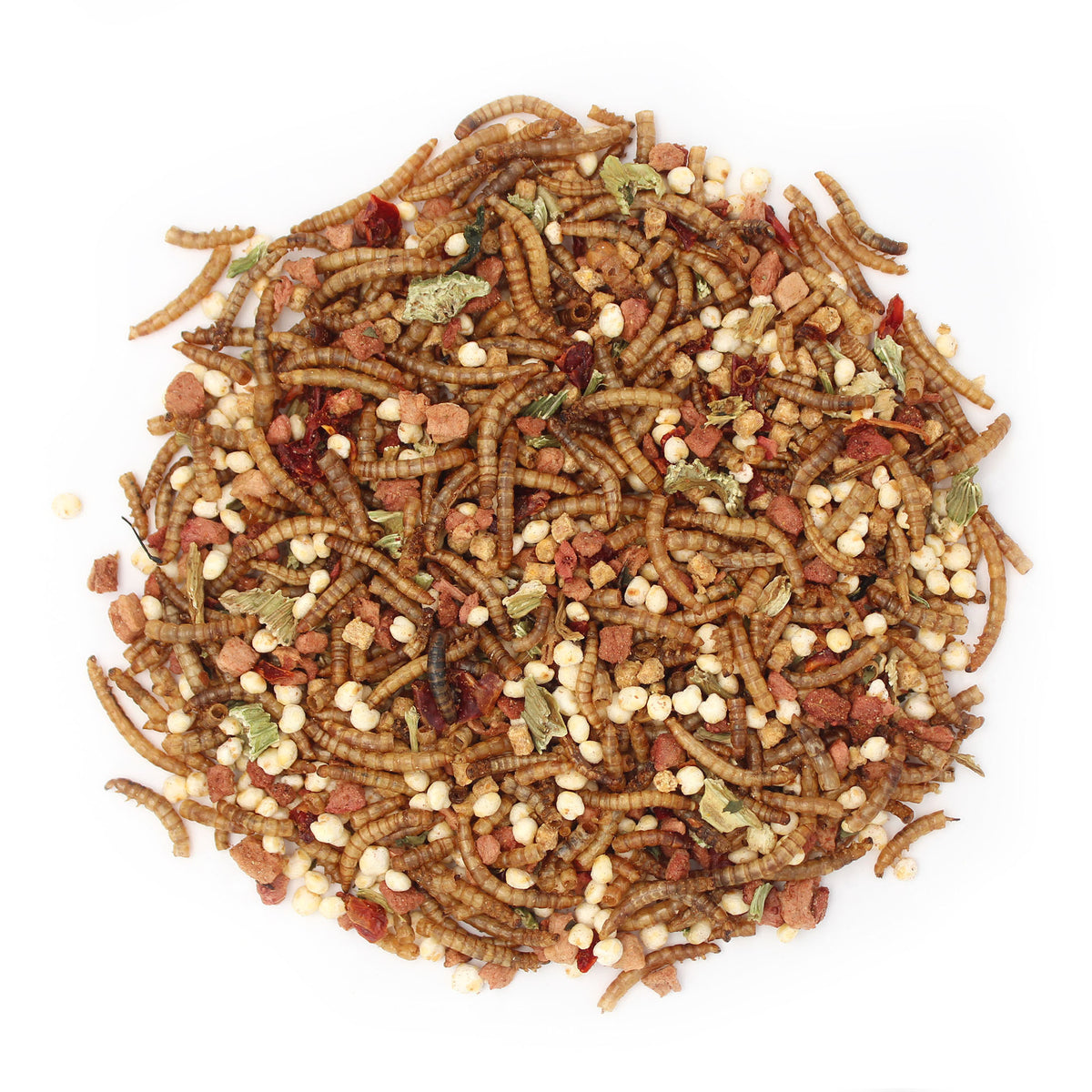 Sunseed Vita Prima Wigglers & Berries Trail Mix For Hedgehogs 2.5 oz