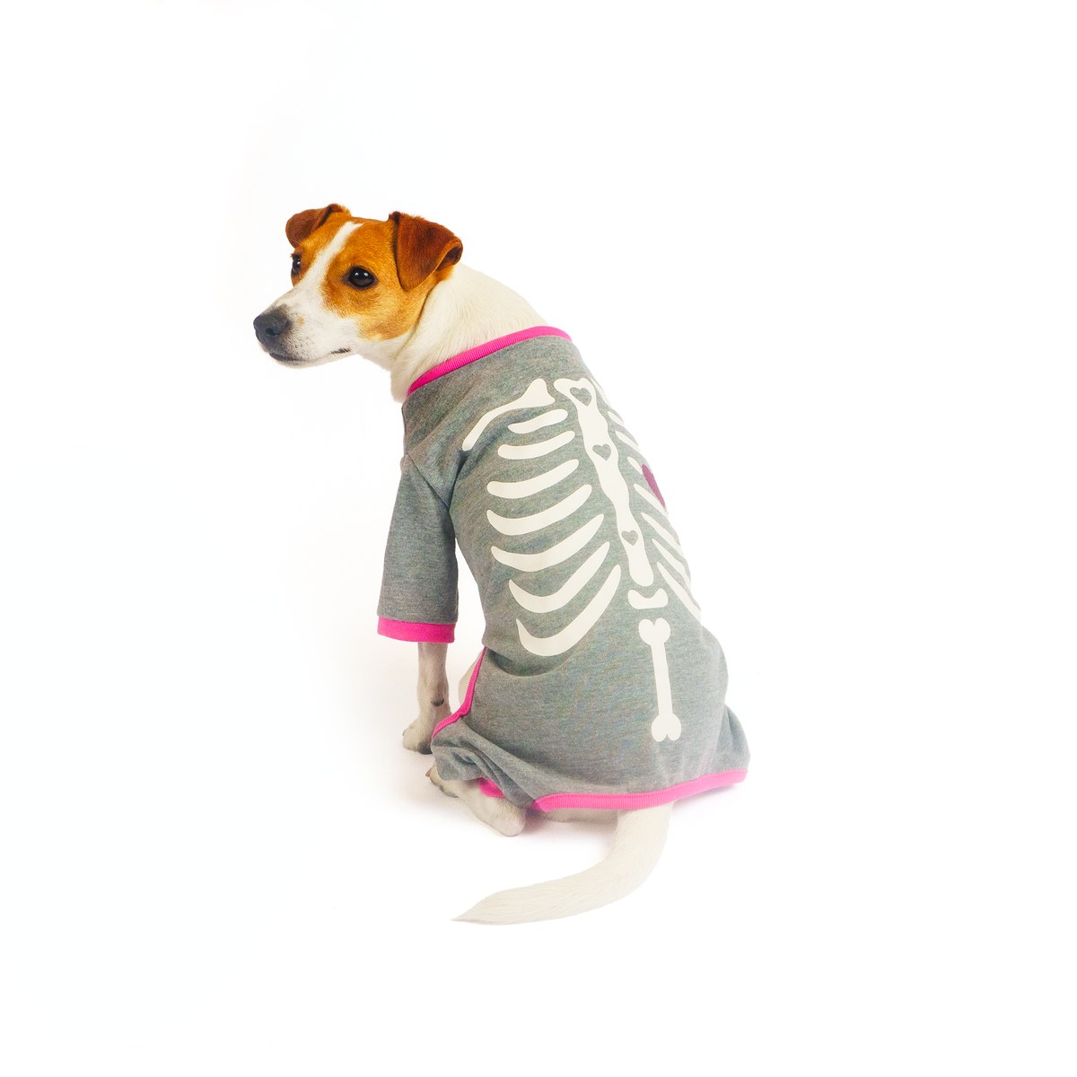 Silverpaw Halloween X-Ray Bones Pet Pajamas
