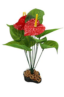 Incredipet Anthurium Bush Reptile Terrarium Plant