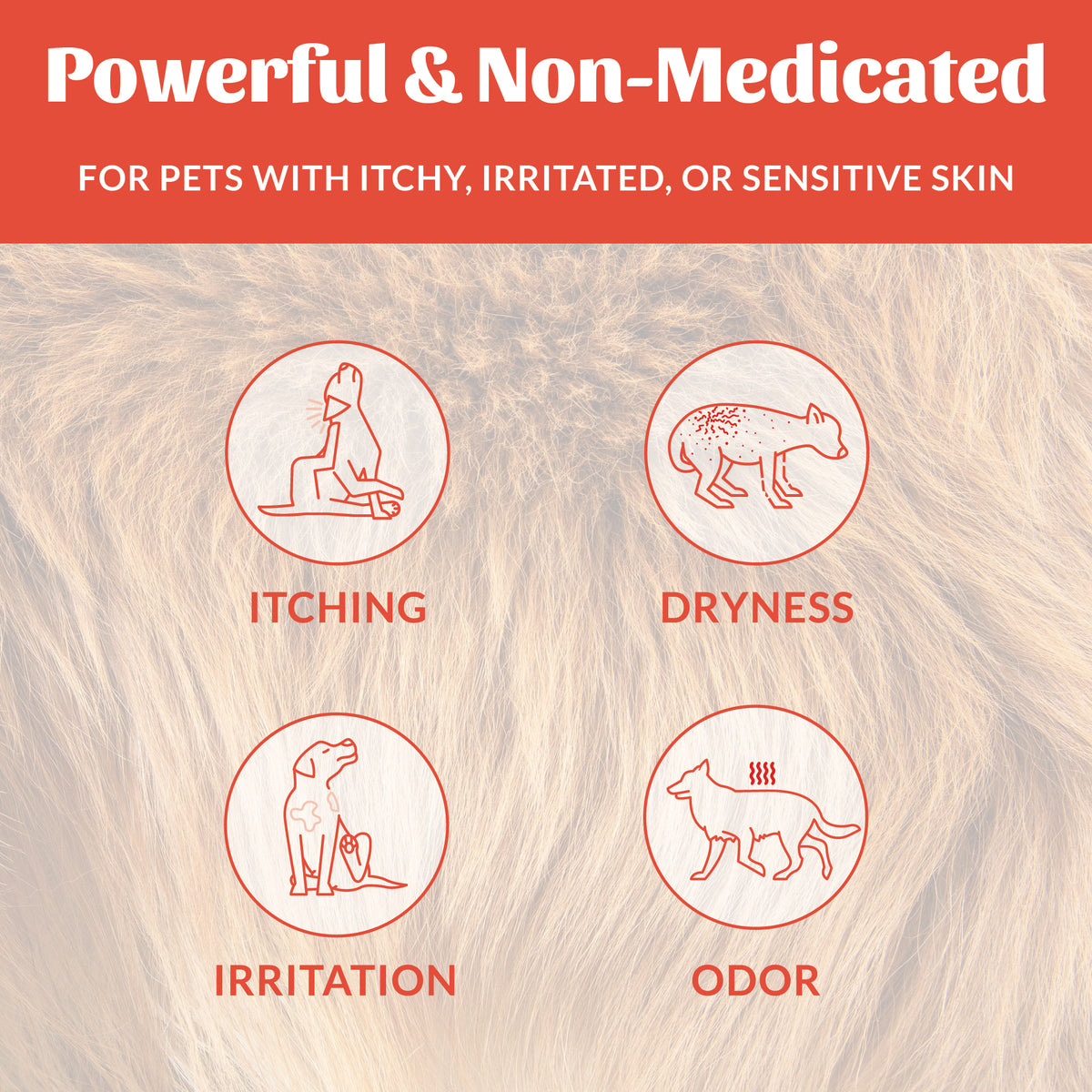 Skout's Honor Probiotic Itch Relief with Oatmeal for Dogs & Cats 8 oz
