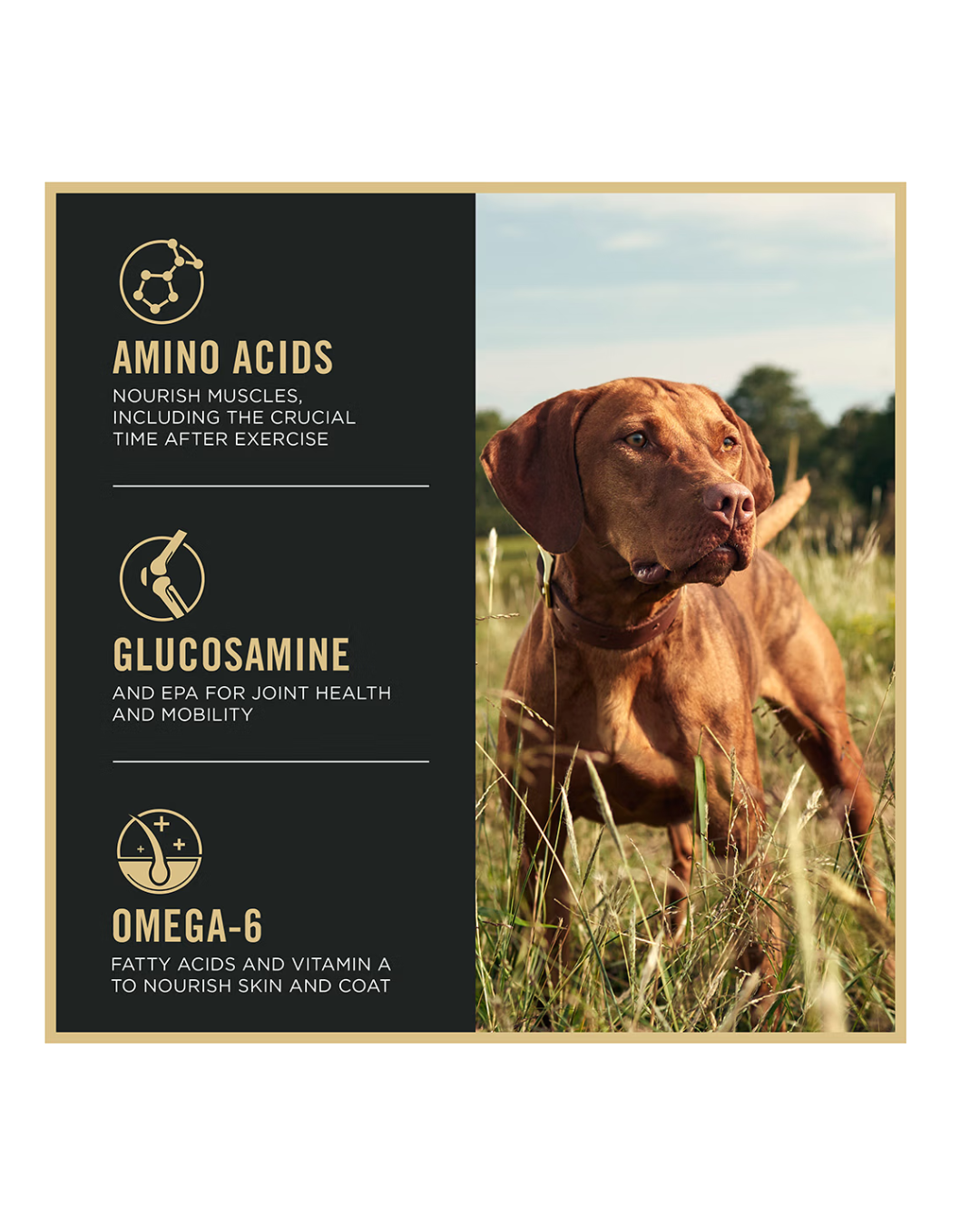 Purina Pro Plan Sport Performance All Life Stages 30/20 Beef & Bison Dry Dog Food